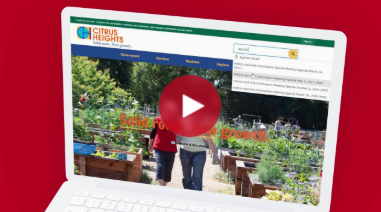 Ultimate Guide to Virtual Government Meetings