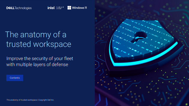 The anatomy of a trusted workspace