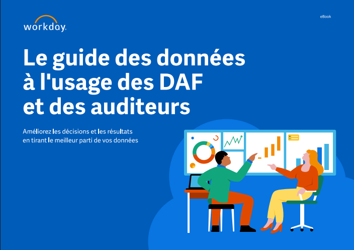 The data guide for CFOs and auditors