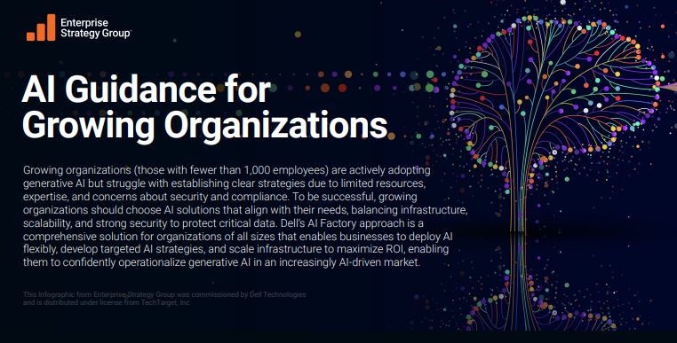 AI Guidance for Growing Organizations