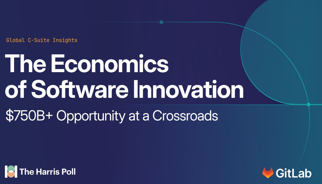 Research Report: The Economics of Software Innovation