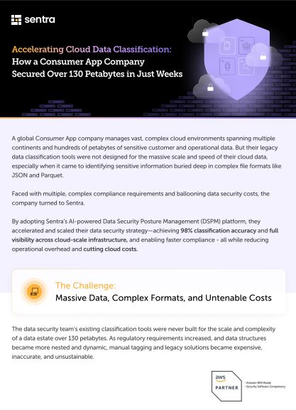 Accelerating Cloud Data Classification: How a Consumer App Company Secured Over 130 Petabytes in Just Weeks