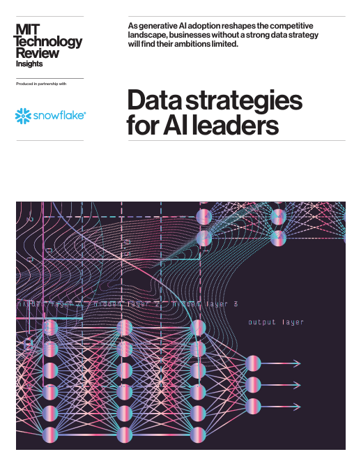 Data Strategies for AI Leaders