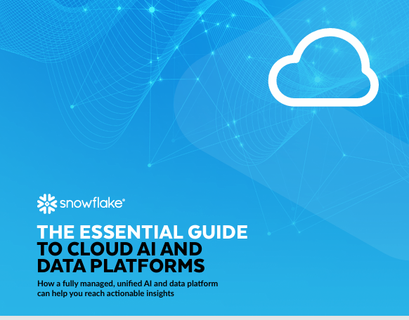 The Essential Guide to Cloud AI and Data Platforms