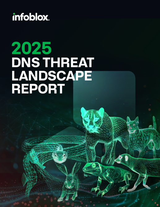 Infoblox 2025 DNS Threat Landscape Report