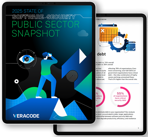 2025 State of Software Security: Public Sector Snapshot 1